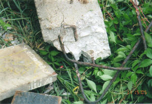 concrete house stumps cracking